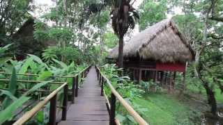 Centro Ecoturístico Las Guacamayas Chiapas [upl. by Ilka368]