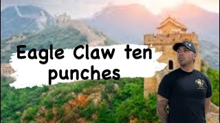 Eagle Claw ten punches [upl. by Vance429]