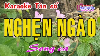 Karaoke tân cổ NGHẸN NGÀO  SONG CA  Tấn Tài  Lệ Thuỷ  Tân cổ trước 75 [upl. by Circosta]