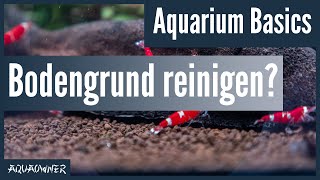 Muss man den Bodengrund im Aquarium säubern  Aquarium Basics [upl. by Berlauda]