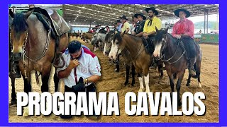 Programa Cavalos  03122023 [upl. by Eceirahs]