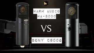 Warm Audio WA8000 VS Sony C800G  MICROPHONE SHOOT OUT [upl. by Ariada]