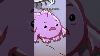 Giant Frogfish 🐸🐟 animation original cartoon [upl. by Alram]