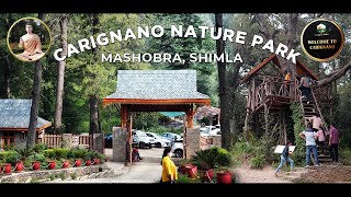 Carignano Nature Park  Mashobra  Shimla  Craignano  Pahari Wanderer  DJI Osmo Action Cinematic [upl. by Wooldridge]