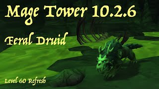 Feral Druid  Mage Tower  Level 60 Refresh Gear [upl. by Iadrahs]