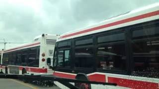 TTC Bus Ride at Arrow Rd Division POV [upl. by Staffan733]