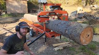 WoodMizer Saw Shed Part 1  Milling the Main Beam sawmill woodworking hardwork [upl. by Anihcak938]