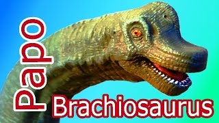 PAPO Brachiosaurus Review  11 german [upl. by Recor]