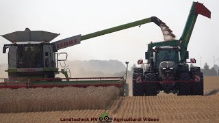 Claas  Fendt  Hawe  Getreideernte  Grain Harvest 2022 [upl. by Neoma]