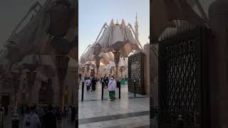 Nabi pak Saw ke Mojzat ❤️ madina masjidnabwi makkah nabimuhammadsaw [upl. by Esilehc]