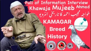 Khawaja Mujeeb Ahmed New Interview about Kamagar Breed  Ch Sakhi Muhammad Bhatti Teddy Kabootar [upl. by Wrennie]