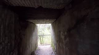 Exploring Meads Quarry Key Hole to the Throne of God and Walking Ijams Nature Center River Boardwalk [upl. by Peckham303]