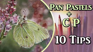 Pan Pastels  Colored Pencil  10 Tips [upl. by Rudich840]