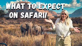 What you need to KNOW for your next SAFARI  Hints amp Tips [upl. by Aderfla]