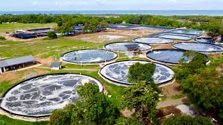 The First the Biggest Super Intensive Shrimp Farm 320 Million Kita per Year [upl. by Stoeber]