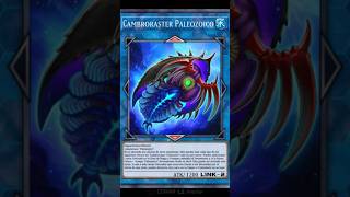 Yugioh Cambroraster Paleozoico Carta Tipo Agua [upl. by Attezi]