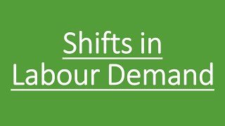 Shifts in Labour Demand  Equilibrium in the Labour Market [upl. by Aivekahs]