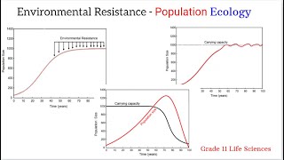 Environmental resistance grade 11 [upl. by Naahsar52]