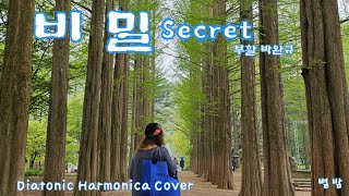 비밀 Secret  부활박완규 Diatonic Harmonica Cover [upl. by Ainirtak268]