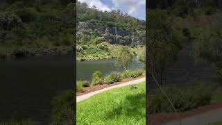 Ferntree gully quarry in spring nature fishing beautiful melbourne australia [upl. by Conlan]