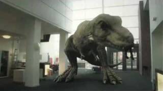 T Rex In The Atrium 2010 [upl. by Verbenia]