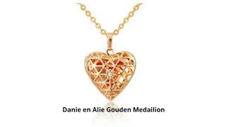 Danie en Alie Gouden Medailion [upl. by Niawtna]