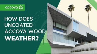 Accoya wood weathering  What to expect with uncoated Accoya [upl. by Errot]