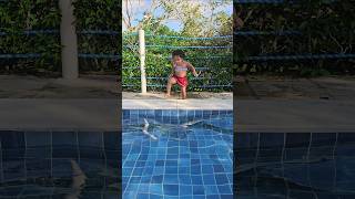 Jumping into the pool 😢😰😱🦈🦈funny shark mar Water megalodon funnymoments comedy [upl. by Goldi]