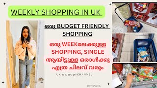 ONE WEEK SHOPPING IN THE UKGrocery Shopping ukmallus ukmalayali swindon groceryshopping [upl. by Mavilia]