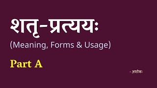 शतृप्रत्ययः  Part A Meaning Forms amp Usage  Ashok [upl. by Fitts]