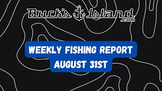 Fishing ReportAugust 31st Neely Henry Weiss Logan Martin Lay Guntersville Lake Martin Jordan [upl. by Martijn]