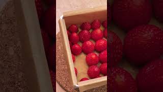 No Baking No Eggs 🍓 So Easy Strawberry Cream Cake Recipe dessert food recipe cooking [upl. by Fredia]