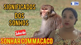 Sonhar com macaco significado e sorte no jogo do bicho [upl. by Artened]