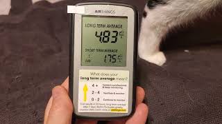 Review demo of Airthings Corentium EasytoUse Home Radon Detector w my cats [upl. by Sivolc]