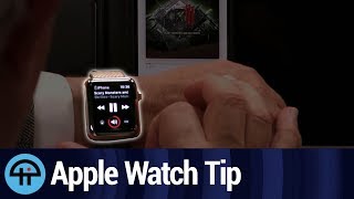 Tame quotNow Playingquot on Apple Watch [upl. by Ierbua]