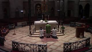 January 28 2024 Latin Mass the 4th Sunday of Ordinary Time at 915 AM at Little Flower Church [upl. by Anaujit772]