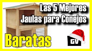 🏠🐰 Las 5 MEJORES Jaulas para Conejos BARATAS de Amazon 2023✅CalidadPrecio Grandes  De Madera [upl. by Necyla47]