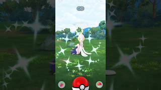 Omg✨Shiny Primarina in pokemon go pokemon soparstart shiny shorts [upl. by Herc]