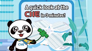 A quick look at the CIIE in 3 minutes [upl. by Rosanne]