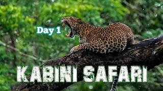 Kabini Deep Forest Safari Day 1  Nagarhole Tiger Reserve  Jolly Trip [upl. by Dranoel]