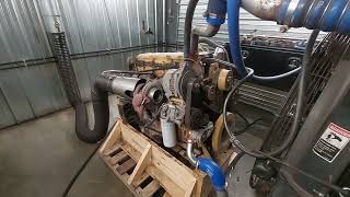 Used 2001 Caterpillar 3126B Engine Test Run 50018760 [upl. by Lenehc]