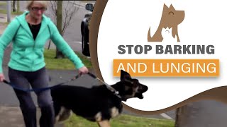 How to STOP your dog barking lunging at visitors amp dogs aggression [upl. by Tdnaltroc]