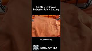 Brief Discussion on Polyester Fabric Setting [upl. by Gerita]