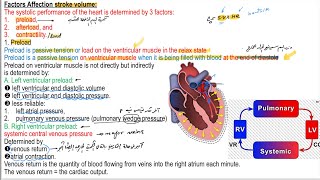 Preloadafterloadstroke volumeabdomen and inspiration effectFrank lawForcetension relation [upl. by Menell]