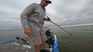 NPFL Saginaw Bay day 1 2024 [upl. by Ruelle]