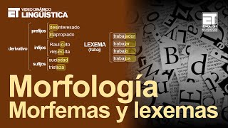 LINGÜÍSTICA 😃✅ LEXEMAS Y MORFEMAS  2021 Fácil explicación✅✅✅✅ [upl. by Compton194]