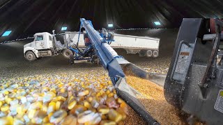 Jeff and Cole Haul out Corn [upl. by Demah]