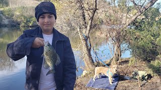 Crappie frenzy on Puddingstone lake [upl. by Eanat]