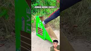 Jebakan burung kardus pigeon uniquetrap birds easytrap unboxing trapbox birdtrap [upl. by Kristopher]