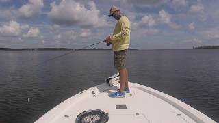 Inshore fishing on the Pamlico [upl. by Eedissac]